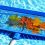 The Importance of Regular Pool Maintenance